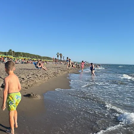 Panorama *